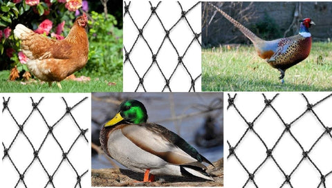 Excursions Netting serves as a garden barrier against pest birds.