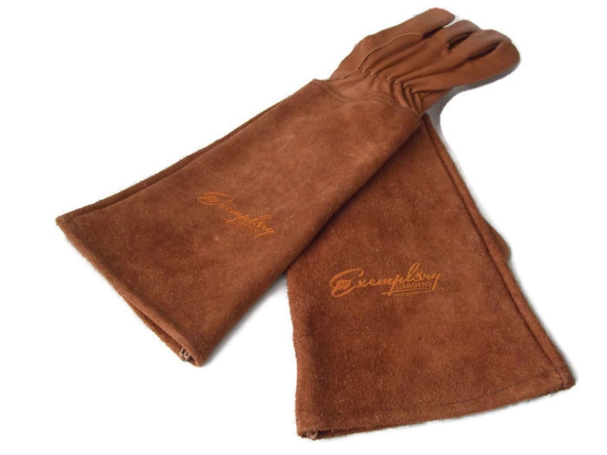 Exemplary Gardens Rose Pruning Gloves show puncture-resistant goat leather for thorn protection.