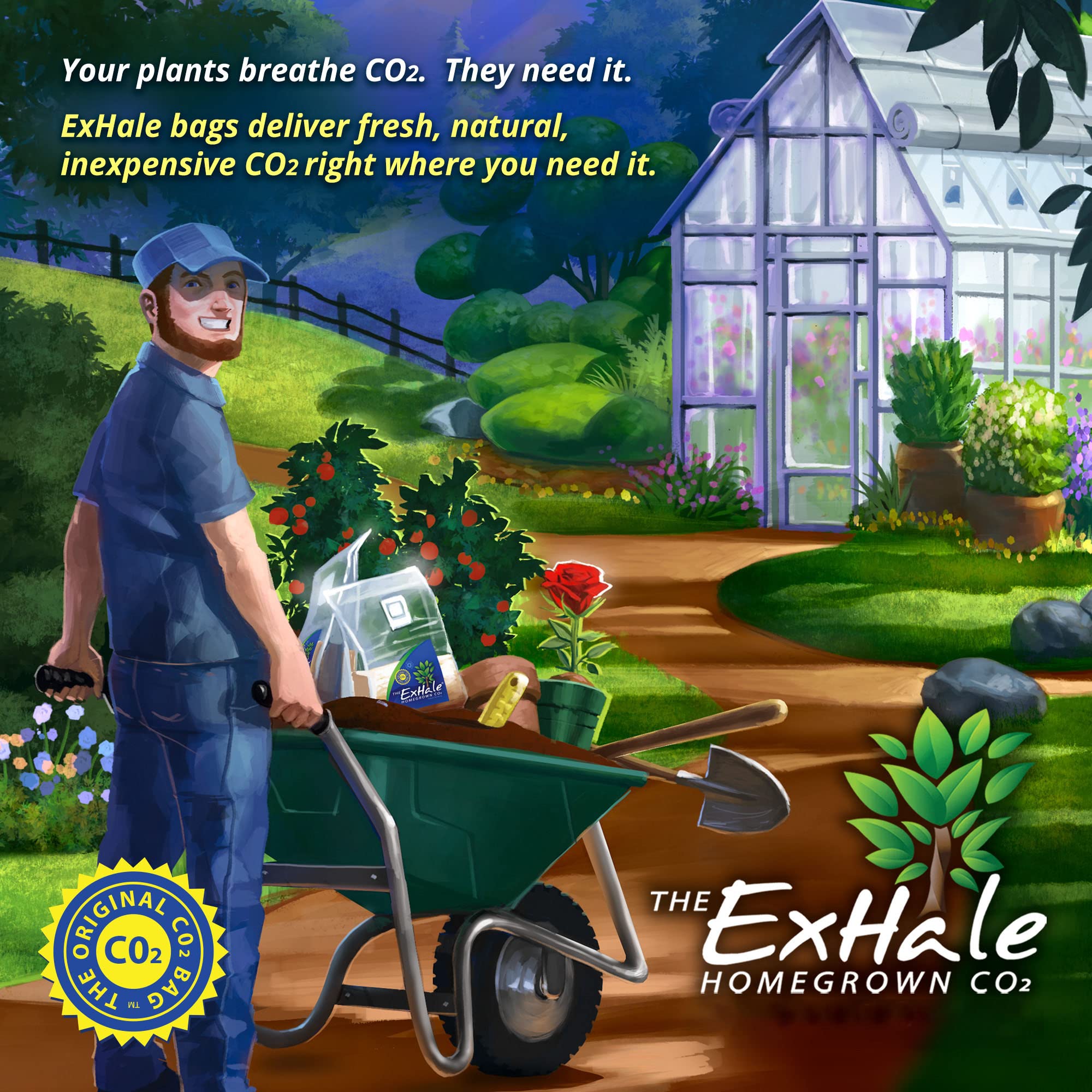 Exhale 365 CO2 coverage for a 4x4 ft indoor area.