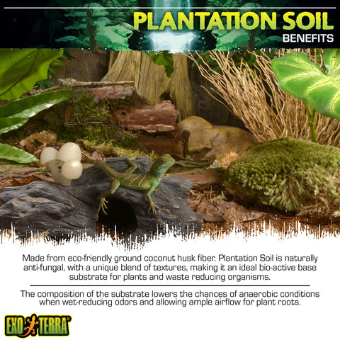Exo Terra Plantation Soil increases humidity in a tropical terrarium.