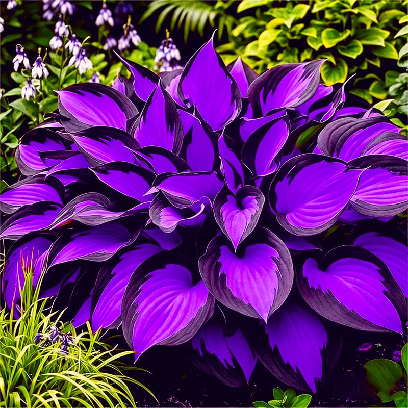 Exotic Hosta Seeds ground-cover option along pathways and near water.