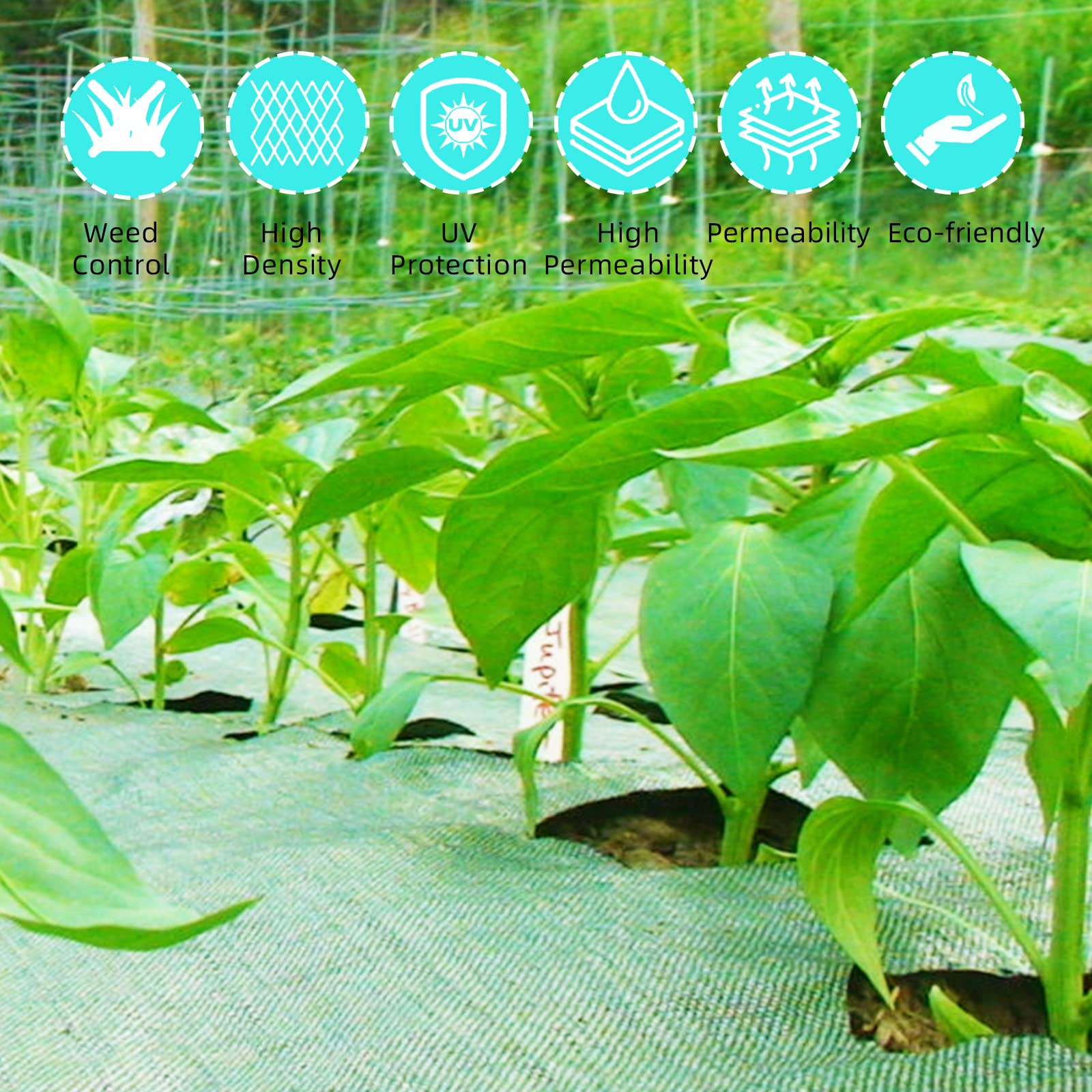 Planting area with ExploreHorizon weed barrier fabric for airflow and soil health