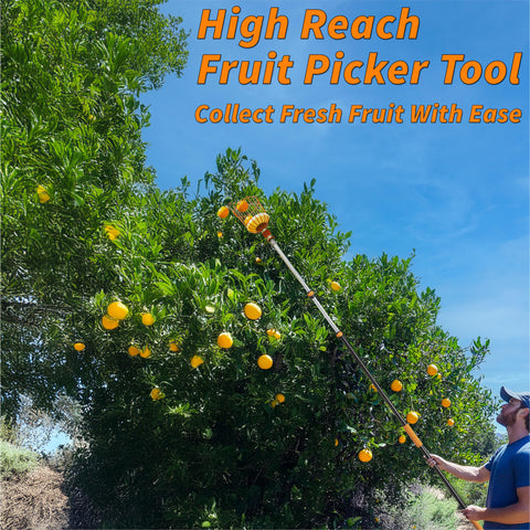 EXTEND-A-REACH in-use on a tall tree shows high-reaching capability.