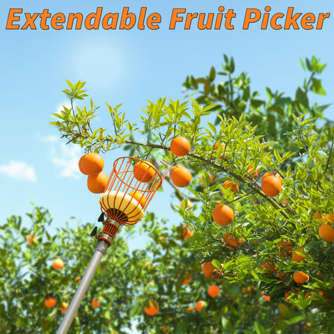 EXTEND-A-REACH quick-release clasps enable easy length adjustment.