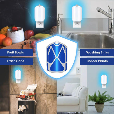 Extermina strong adhesive cartridge capturing pests without sprays.