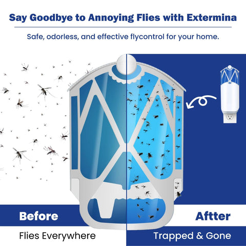 Extermina no-odor, chemical-free refills for clean indoor use.