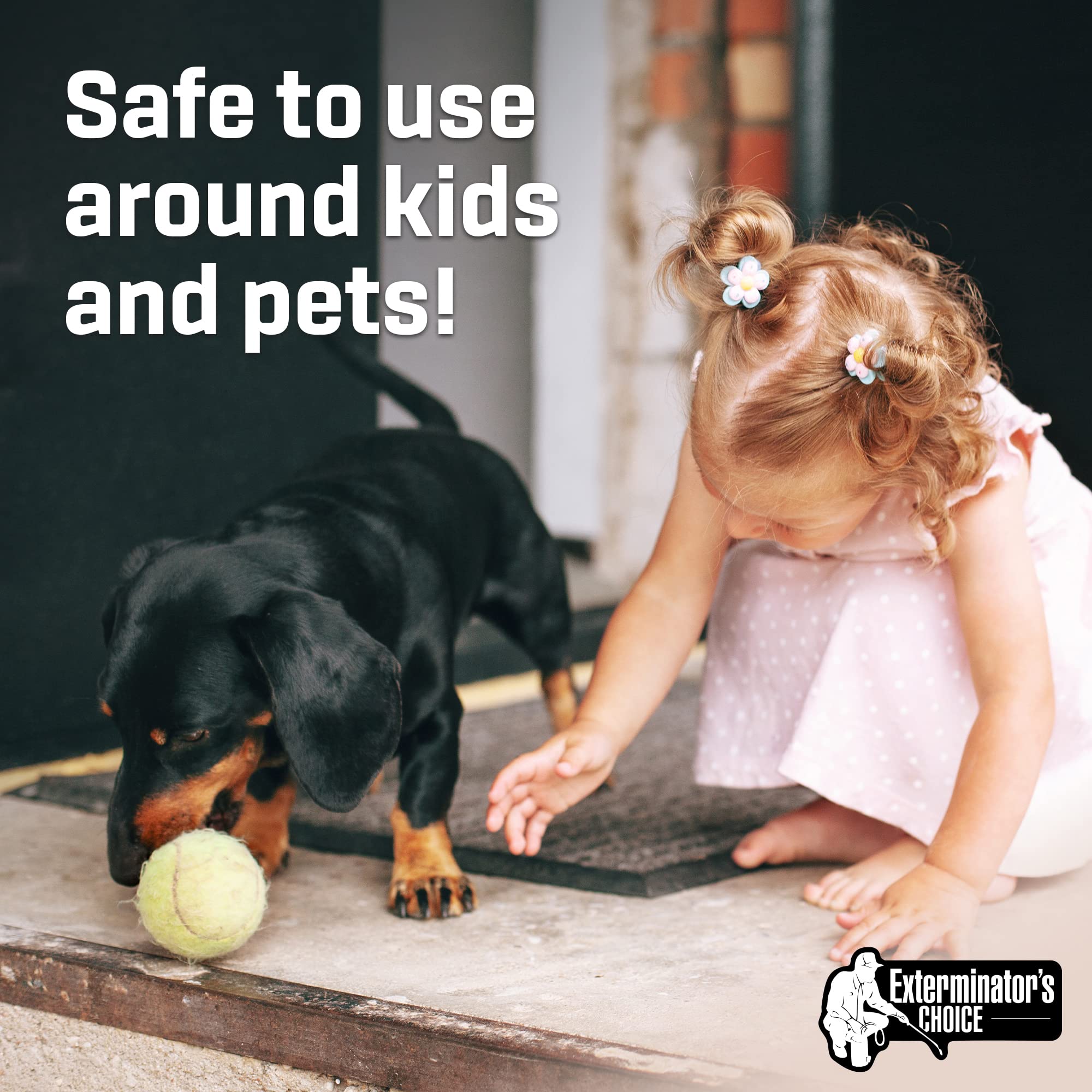 Exterminators Choice Moth Defense Spray family-safe formula for homes.