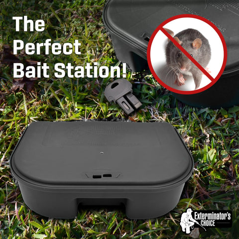 Locking lid with included key on Exterminators Choice bait station for secure access.
