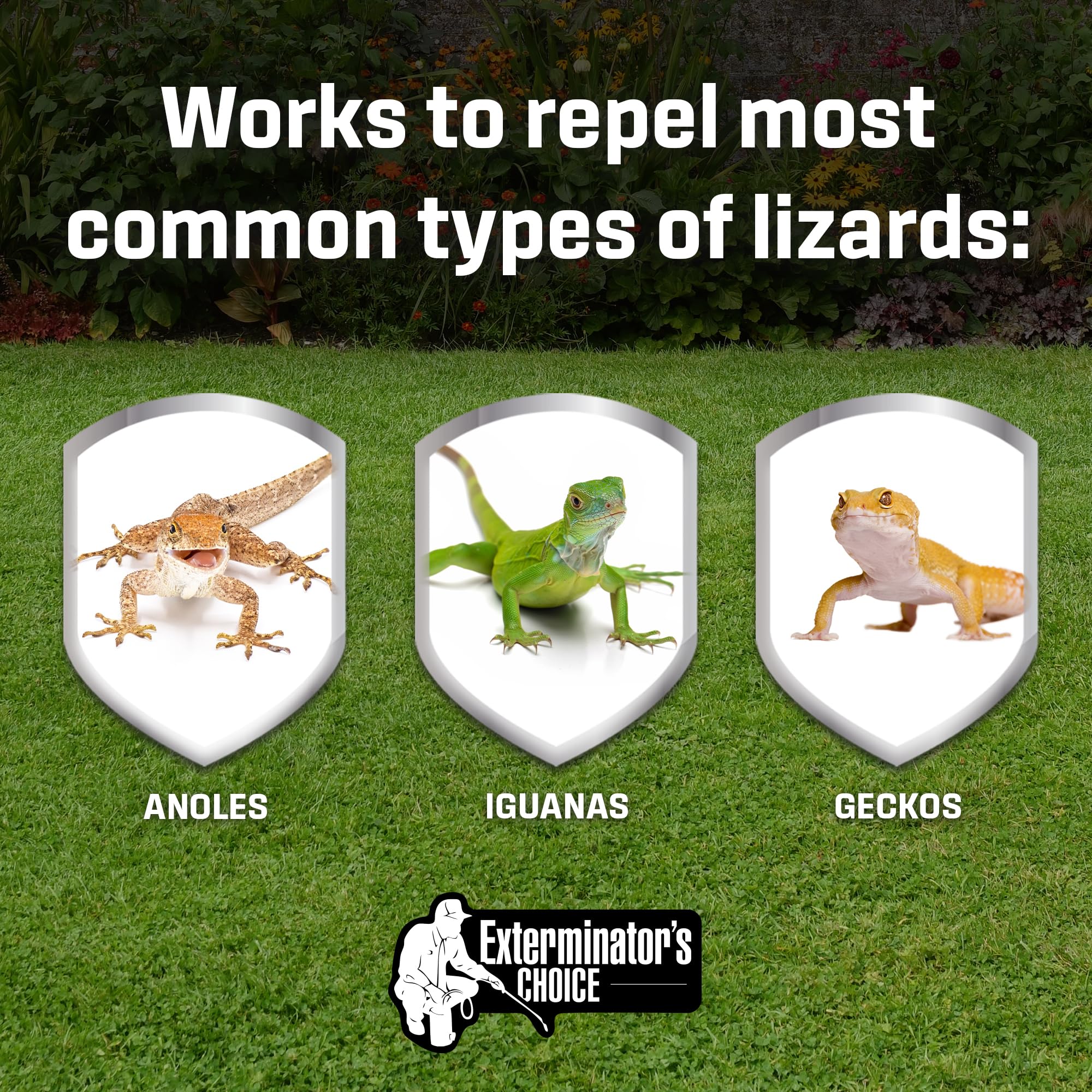 Exterminators Choice outdoor patio application deters reptiles while remaining pet friendly