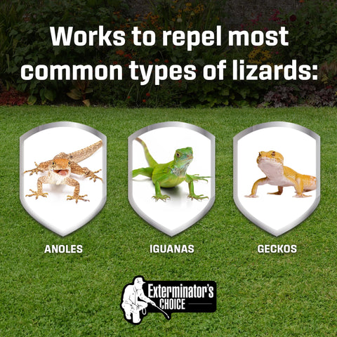 Exterminators Choice outdoor patio application deters reptiles while remaining pet friendly