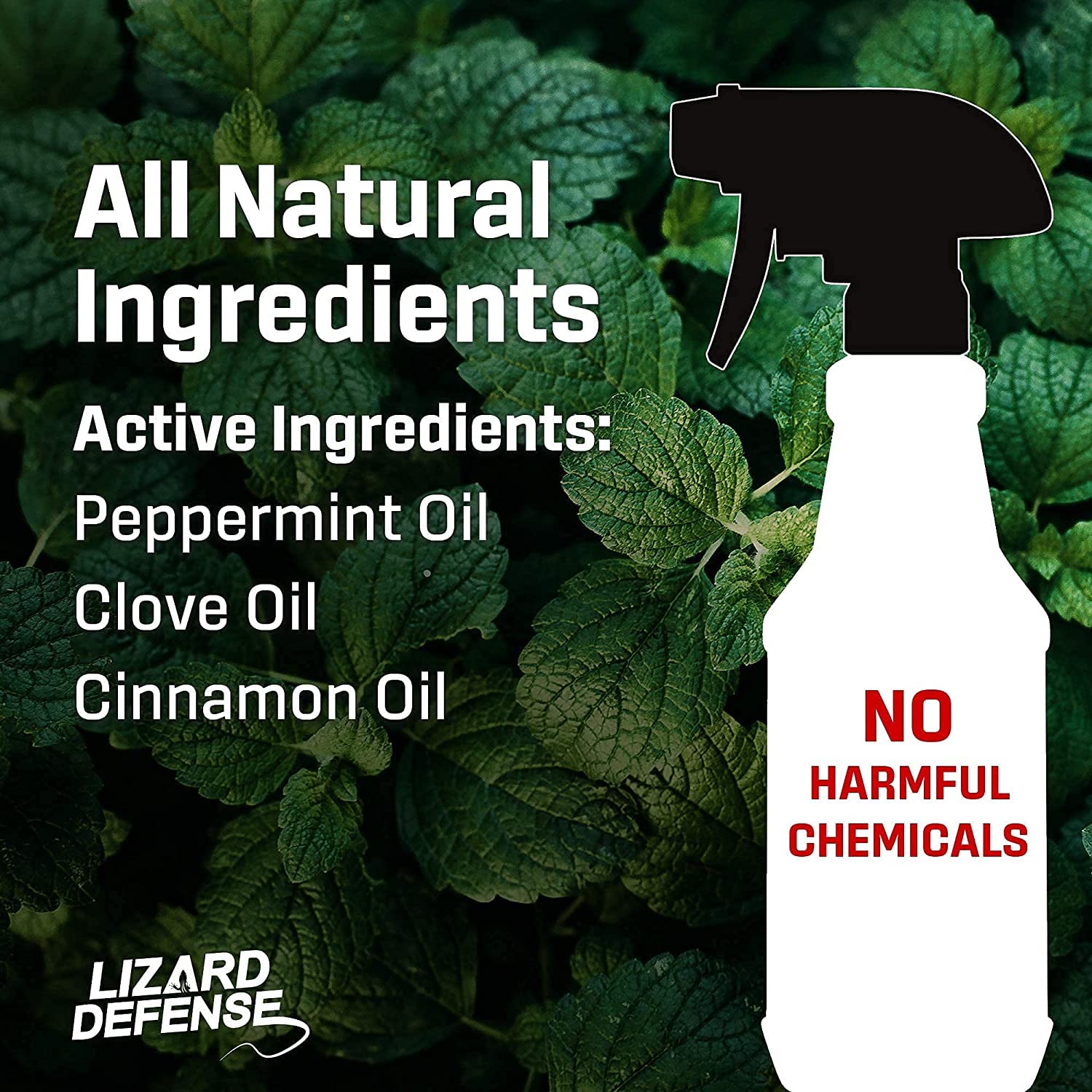 Exterminators Choice peppermint spray for indoor use creates a more comfortable living space.