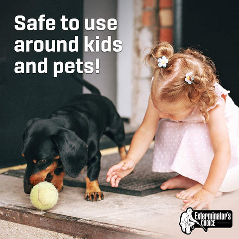 Exterminators Choice peppermint spray targets lizard encounters for a calmer home.