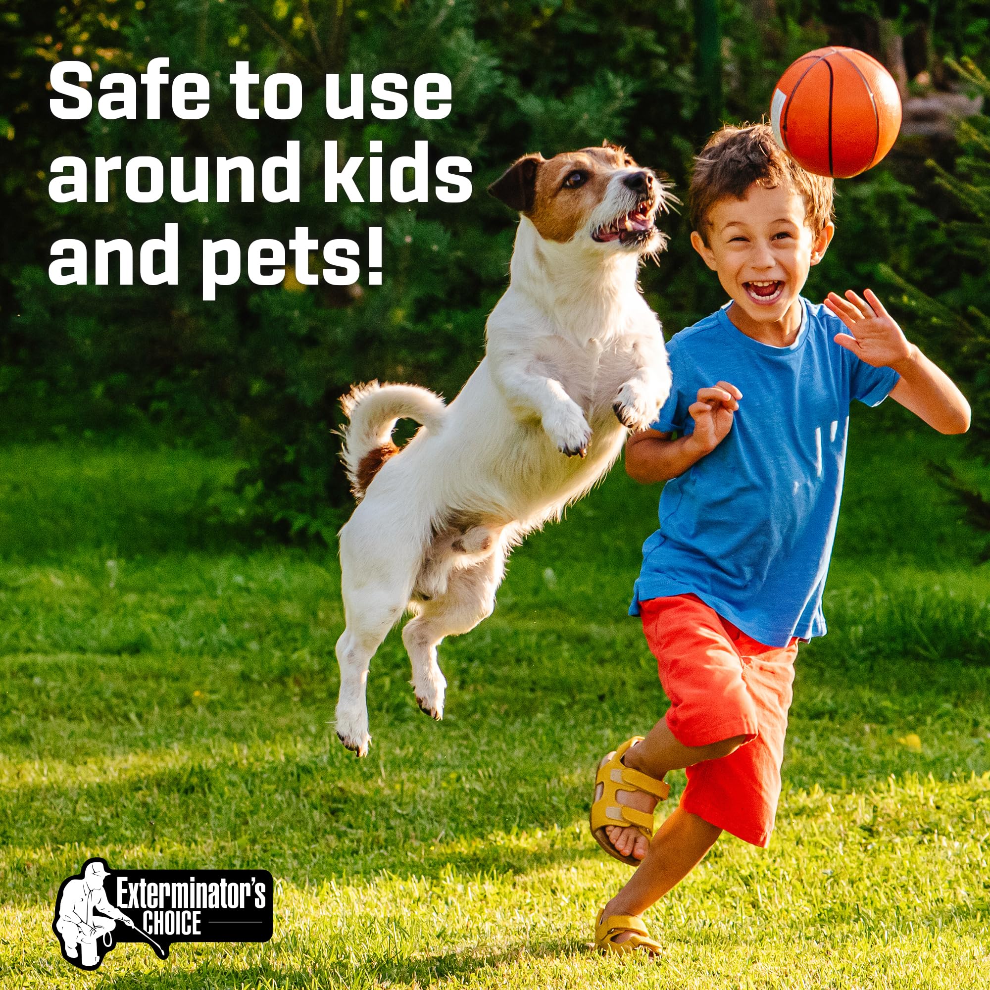 Exterminators Choice pool area defense safeguards poolsides for safer outdoor relaxation.