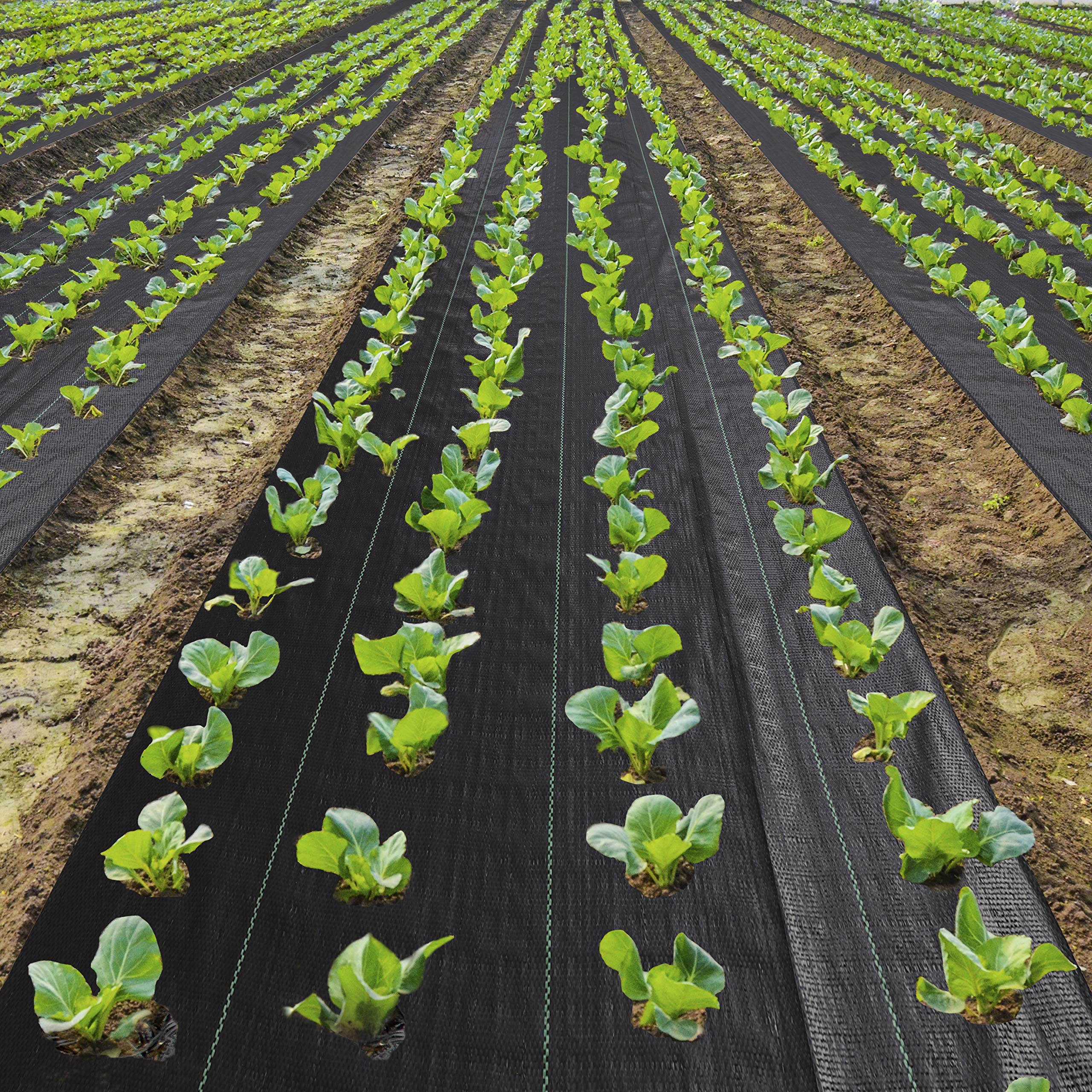 EXTRAEASY easy-install weed barrier ready to unroll