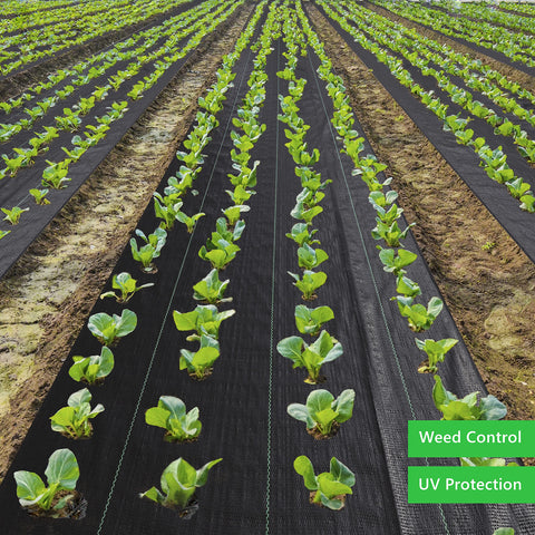 EXTRAEASY air-permeable ground cover supports healthy soil while blocking weeds.