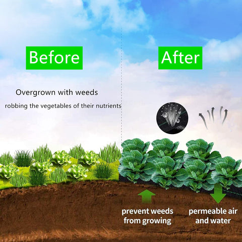 EXTRAEASY ground cover provides a stable microclimate for plants