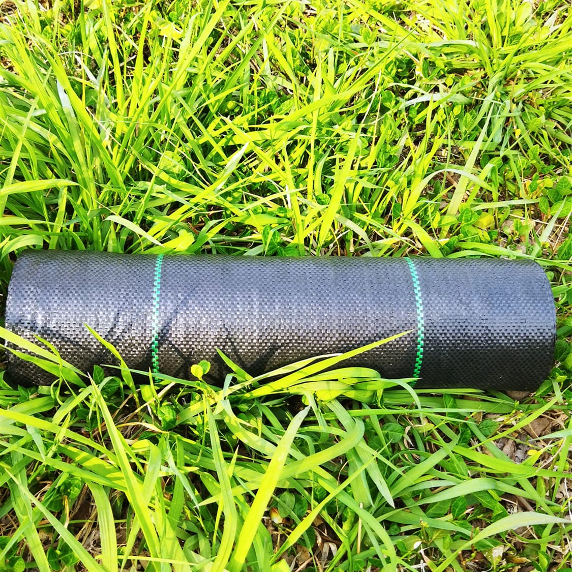 EXTRAEASY barrier used along a garden path for weed control.