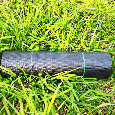 EXTRAEASY barrier used along a garden path for weed control.