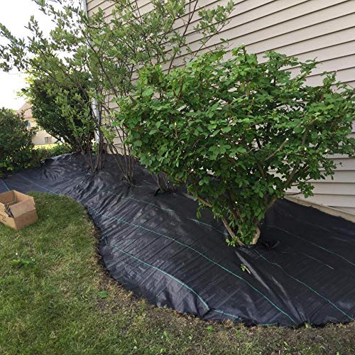 EXTRAEASY environmentally friendly weed control for tidy borders