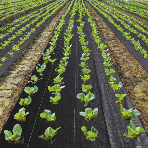 EXTRAEASY ground-cover landscape fabric used to define planting beds