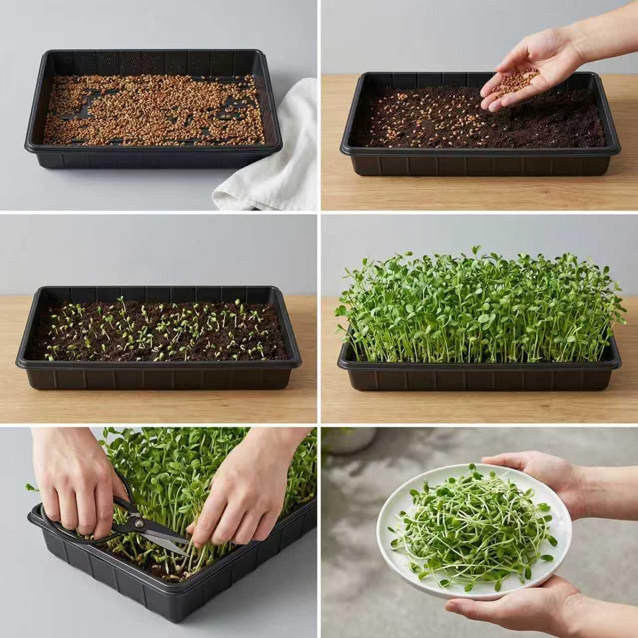 EXTYQWC stackable propagation trays, easy to clean and store.