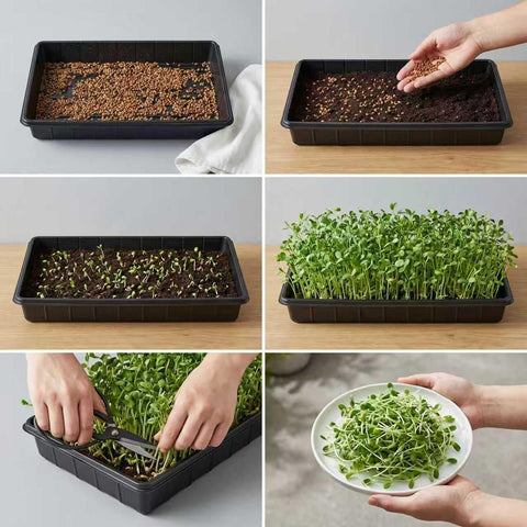 EXTYQWC stackable propagation trays, easy to clean and store.