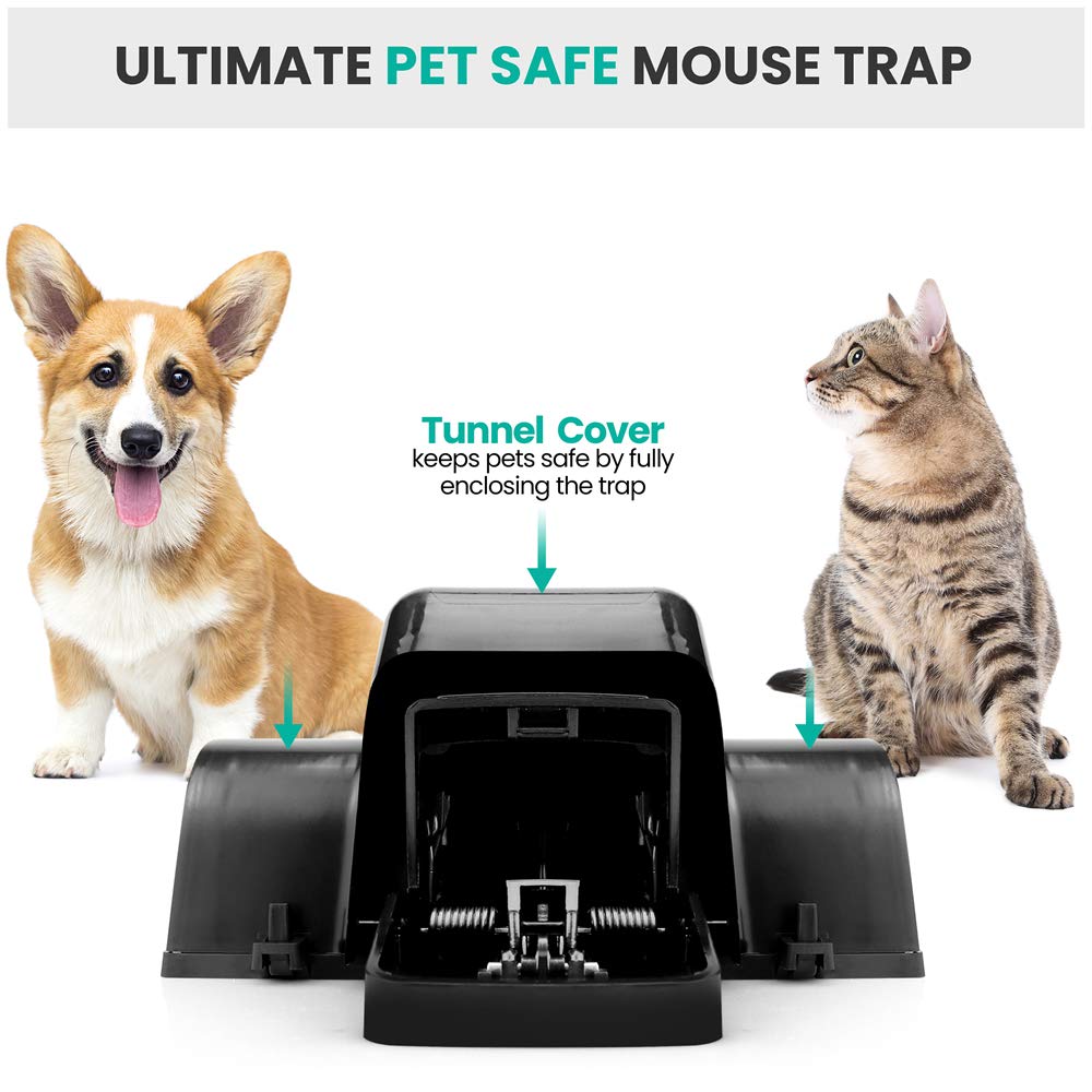 eXuby instant-kill rat trap delivers fast results