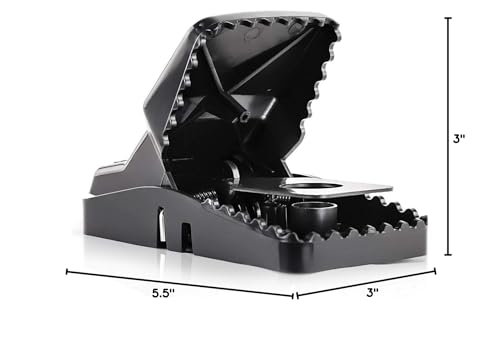 eXuby rat trap design uses no chemicals to keep spaces toxin-free