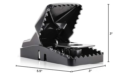 eXuby rat trap design uses no chemicals to keep spaces toxin-free