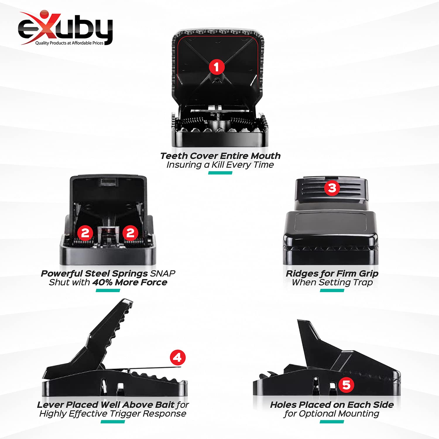 eXuby rat trap, washable and reusable for repeated use