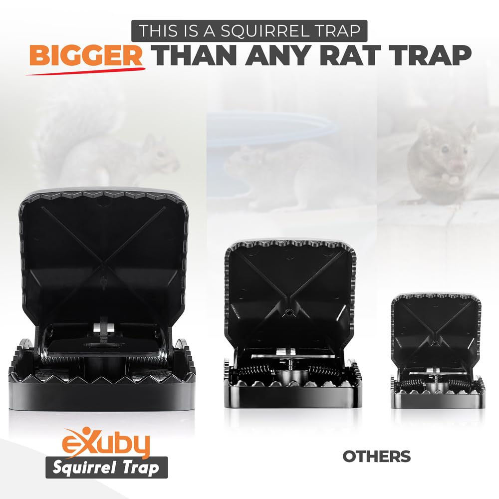 eXuby Squirrel Trap’s 5-inch opening for larger pests safely