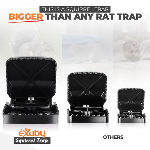 eXuby Squirrel Trap’s 5-inch opening for larger pests safely