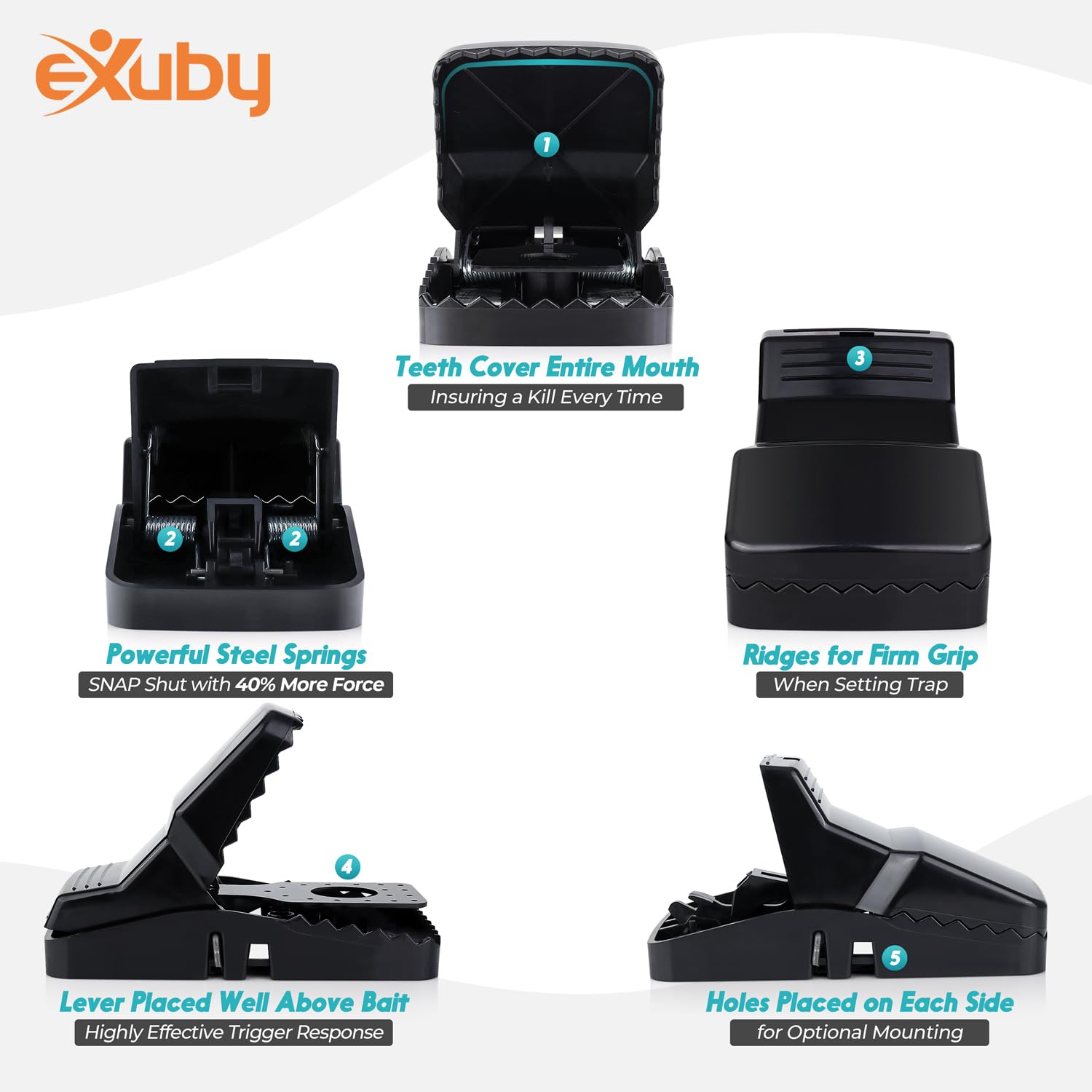 eXuby Squirrel Trap chemical-free solution for pet and child-friendly spaces