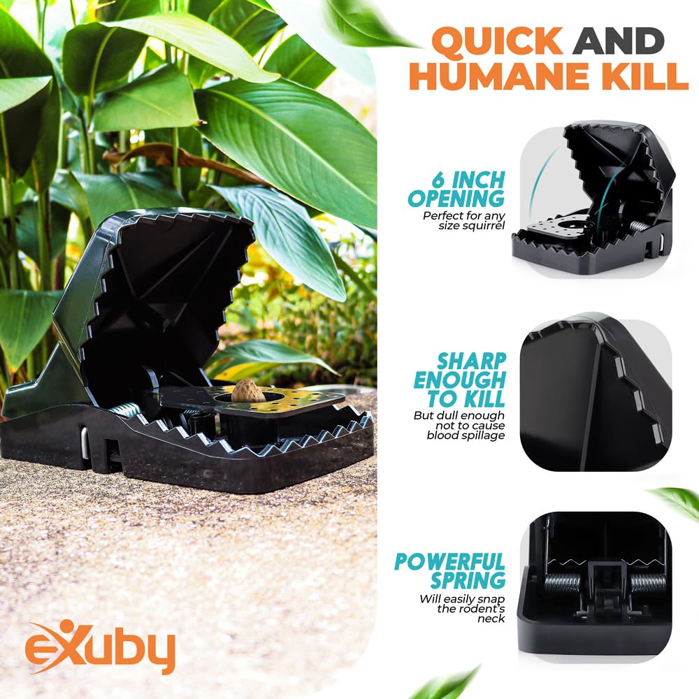 eXuby Squirrel Trap hands-free disposal for a clean, simple cleanup