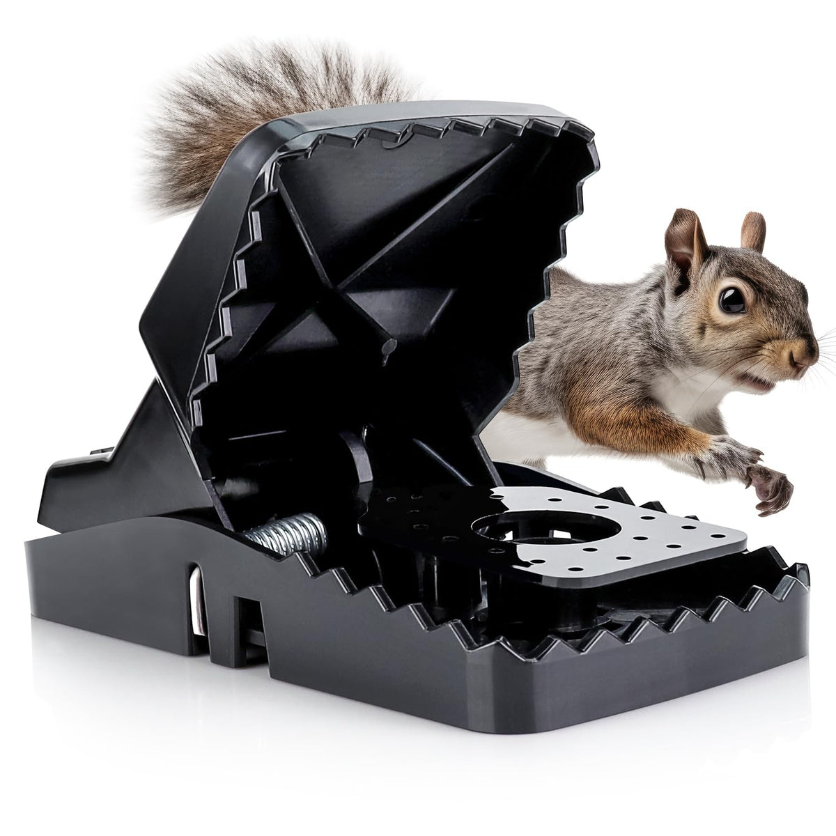 eXuby Squirrel Trap two-pack ready for attic and garden use, reusable and chemical-free