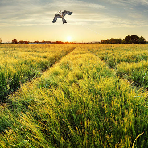 eyijklzo farm garden orchard protector reduces bird intrusions