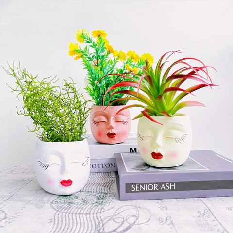 EylbKey head planter appears gift-ready for home or office decor.
