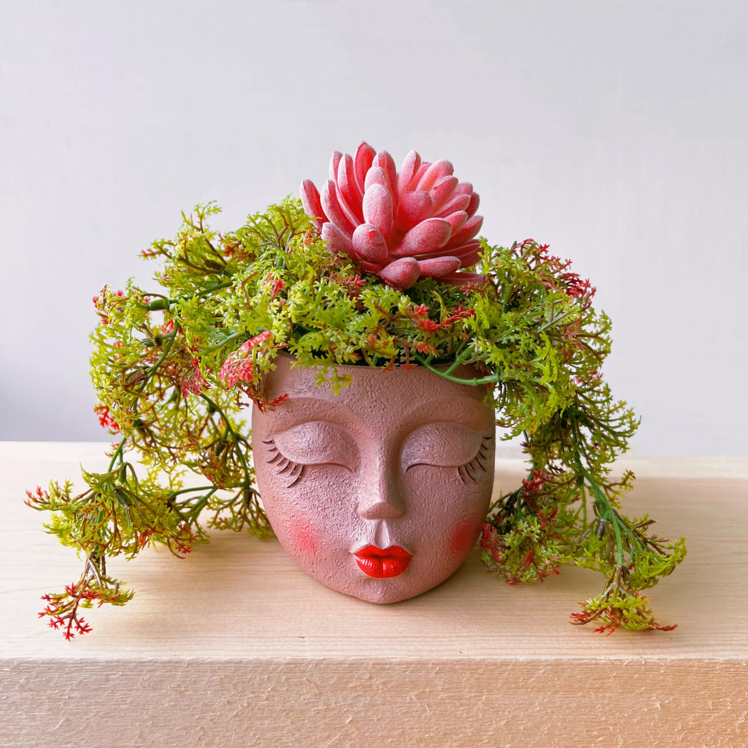 EylbKey head planter close-up showing the lady-face design for decor.