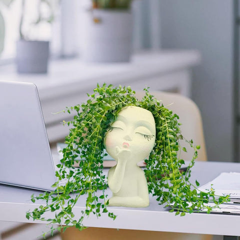 EylbKey indoor/outdoor face planter suitable for various spaces.