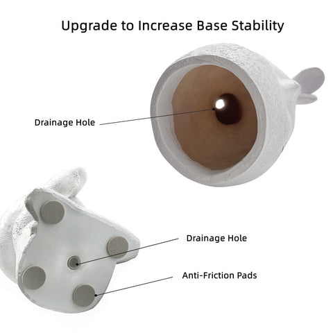 EylbKey upgraded base adds stability on shelves.