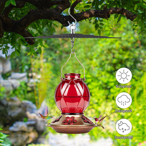 Eyrosa black metal dome shield on a feeder