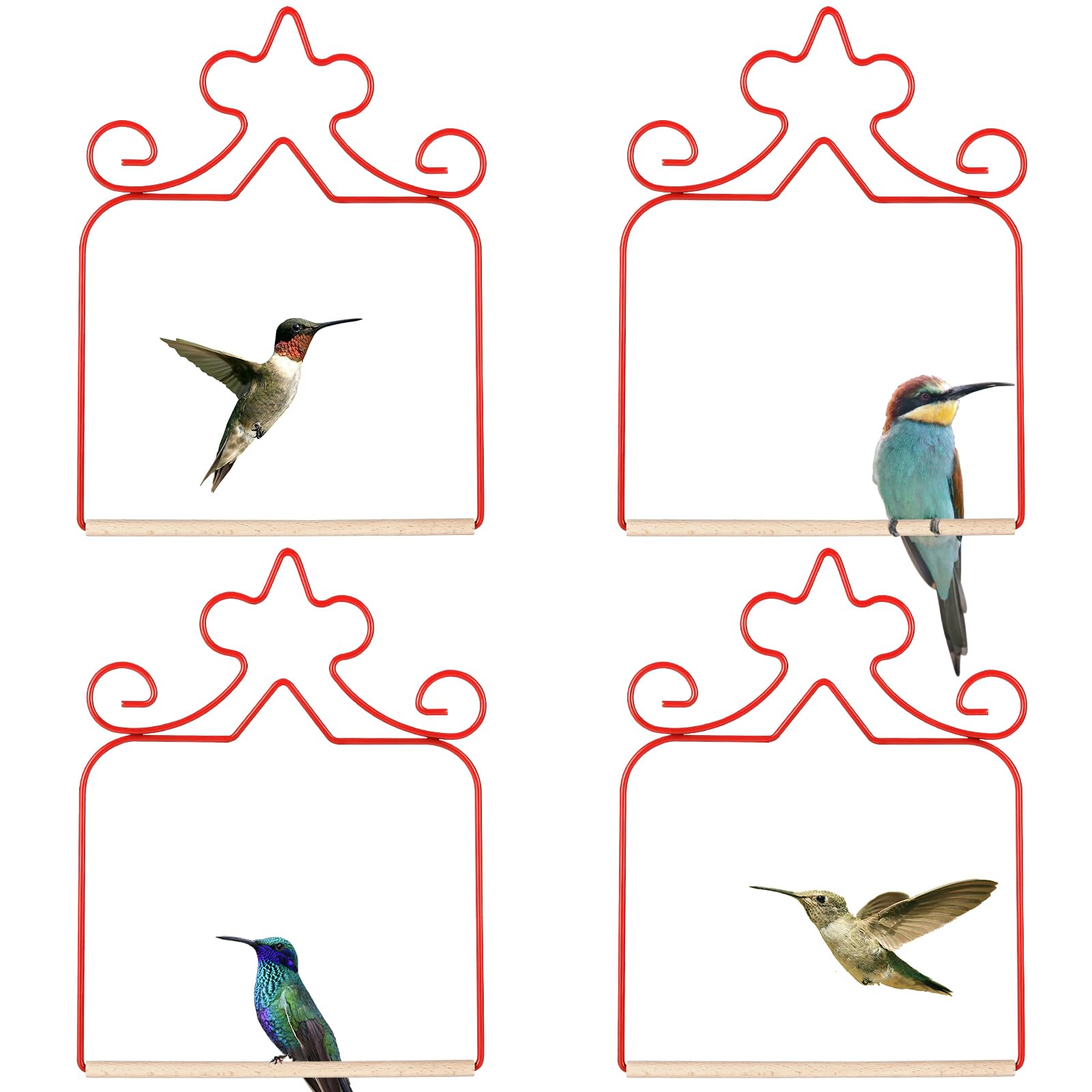 Eyrosa hummingbird swings 4-pack adds bright outdoor color and bird-friendly perches.