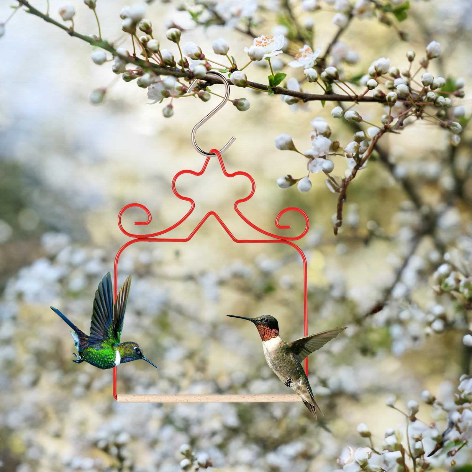 Eyrosa wooden dowels provide sturdy grip for hummingbirds.