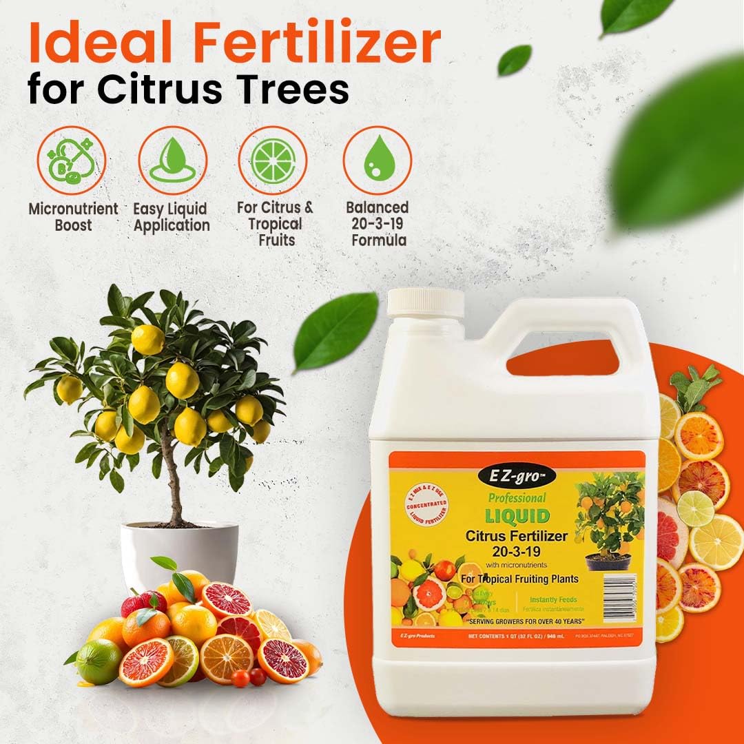 EZ-gro Citrus Tree Fertilizer dilution mixing shows simple water feeding.