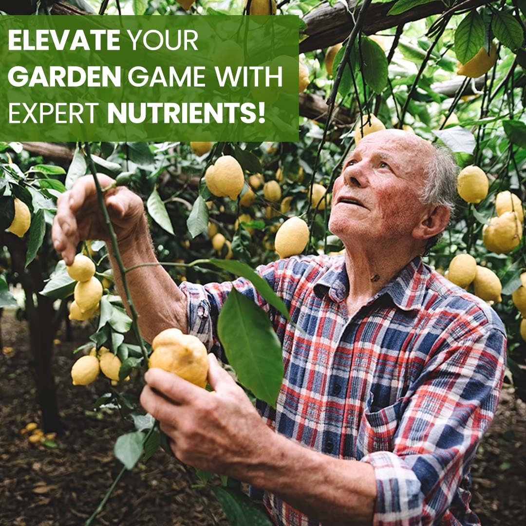 EZ-gro Citrus Tree Fertilizer fruit-set image hints at improved fruiting.