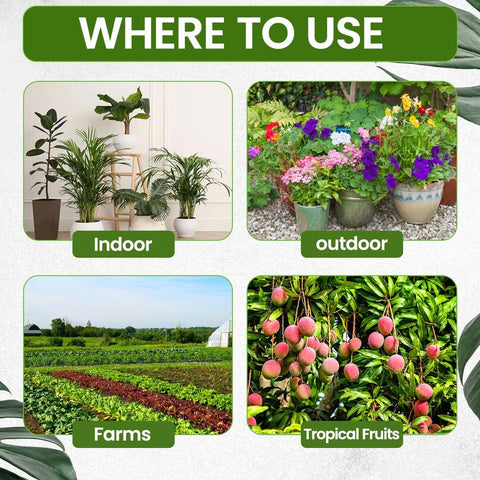 EZ-gro Citrus Tree Fertilizer leaves-healthy shows lush foliage.