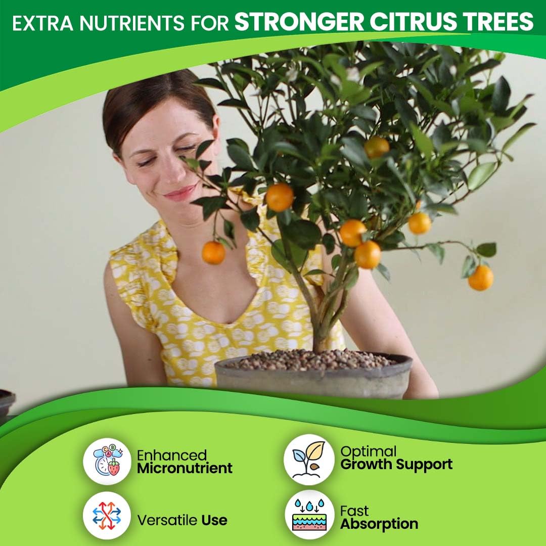 EZ-gro Citrus Tree Fertilizer root-application highlights soil feeding for citrus.