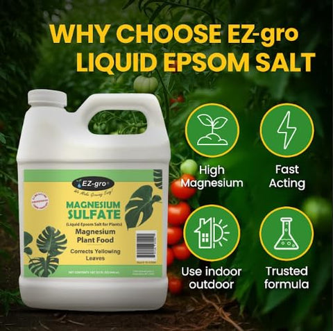 Rose plants benefiting from EZ-gro Epsom Salt for richer blooms