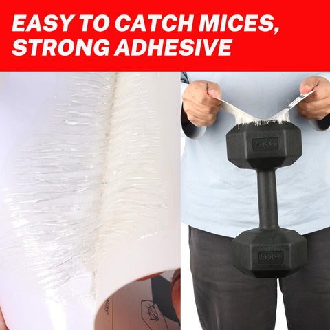 EZ_FAB pre-scented glue attracts pests without bait