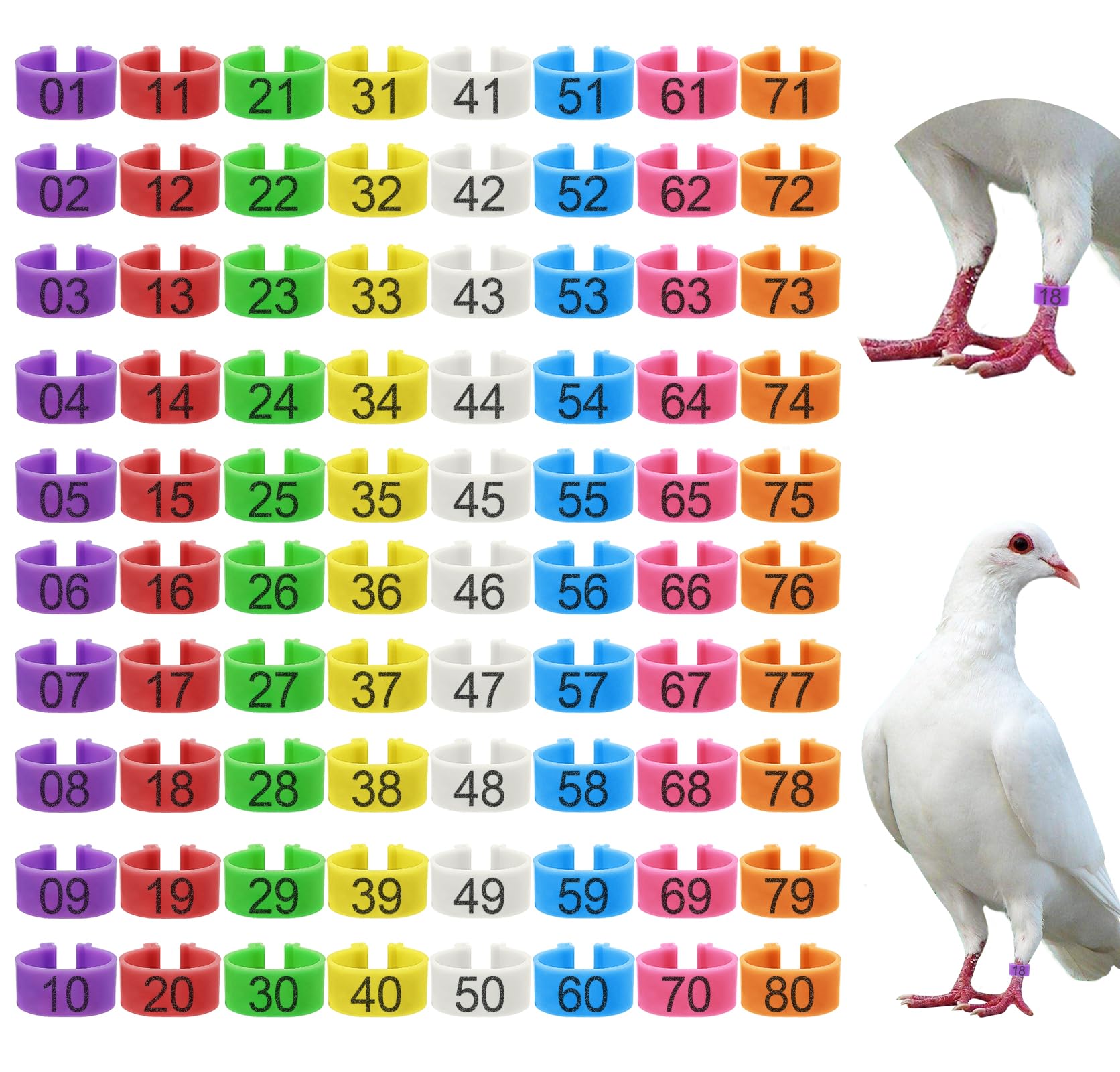 EZEELAI 80pcs color coded leg bands in eight colors for easy bird identification.